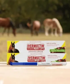 lotmay®Ivermectin Paste for Horses