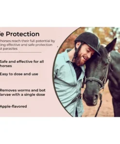 lotmay®Ivermectin Paste for Horses