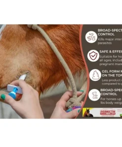 lotmay®Ivermectin Paste for Horses