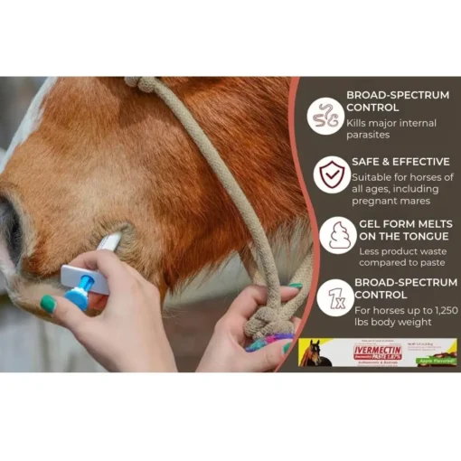 lotmay®Ivermectin Paste for Horses