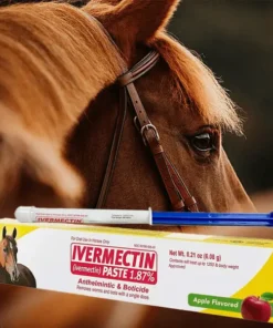 lotmay®Ivermectin Paste for Horses