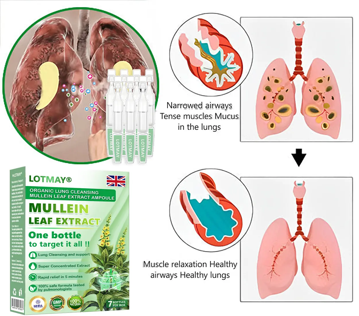 ๐๐๐๐๐๐ยฎ ๐๐ซ๐ ๐๐ง๐ข๐ ๐๐ฎ๐ง๐ ๐๐ฅ๐๐๐ง๐ฌ๐ข๐ง๐ ๐๐ฎ๐ฅ๐ฅ๐๐ข๐ง ๐๐๐๐ ๐๐ฑ๐ญ๐ซ๐๐๐ญ ๐๐ฆ๐ฉ๐จ๐ฎ๐ฅ๐