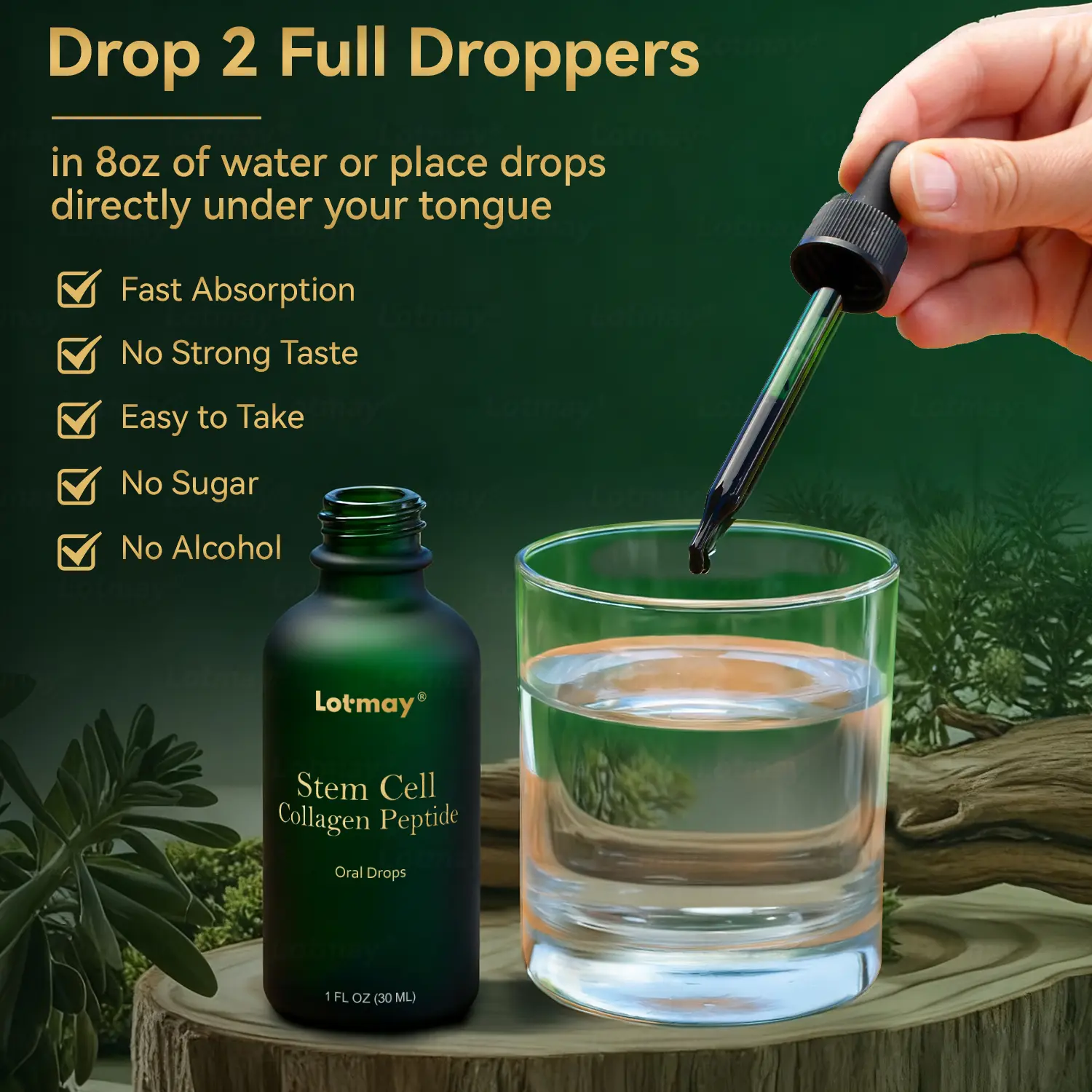 ๐ฟ๐๐ก๐๐๐ฆยฎ ๐๐ก๐๐ ๐ถ๐๐๐ & ๐ถ๐๐๐๐๐๐๐ ๐๐๐๐ก๐๐๐ ๐๐๐๐ ๐ท๐๐๐๐