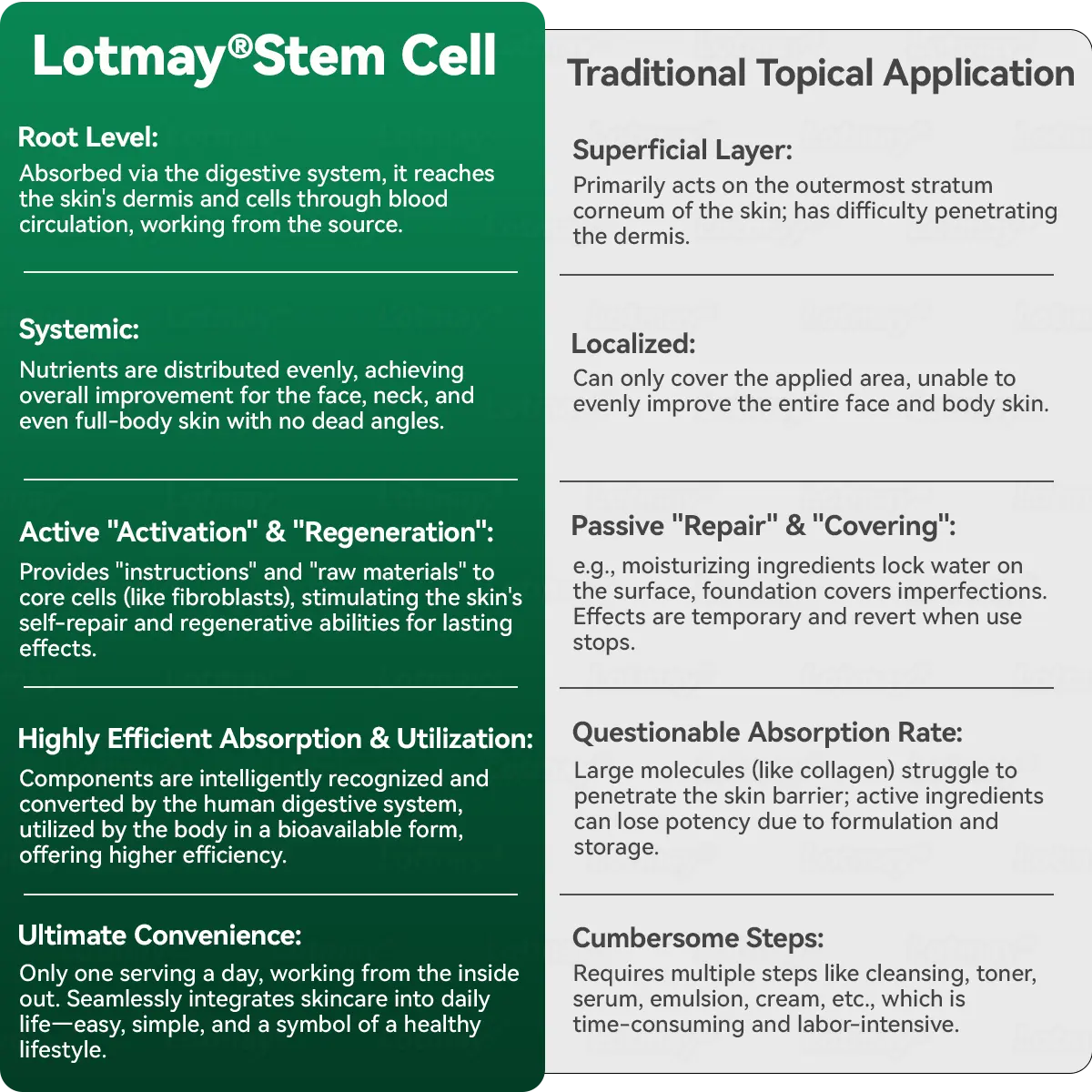 ๐ฟ๐๐ก๐๐๐ฆยฎ ๐๐ก๐๐ ๐ถ๐๐๐ & ๐ถ๐๐๐๐๐๐๐ ๐๐๐๐ก๐๐๐ ๐๐๐๐ ๐ท๐๐๐๐