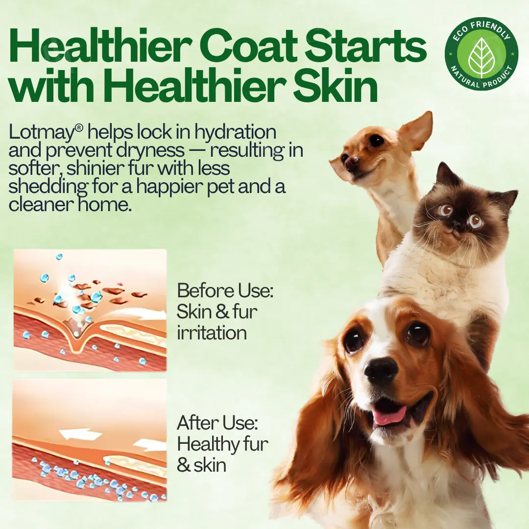 Lotmay® 3 in 1 PhytoBarrier Pet Skin and Coat Care Spray