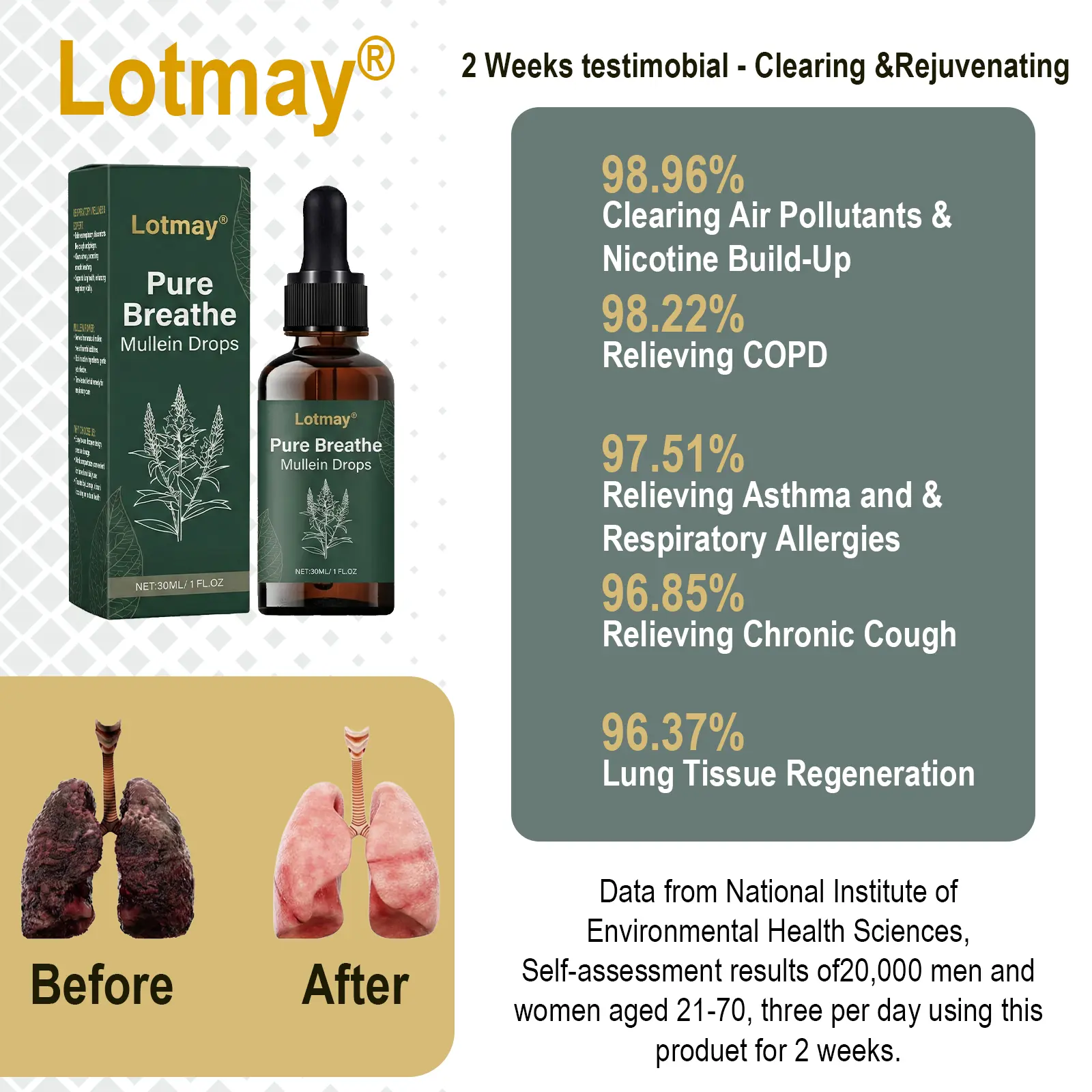 Lotmay® Pure Breathe Mullein Drops