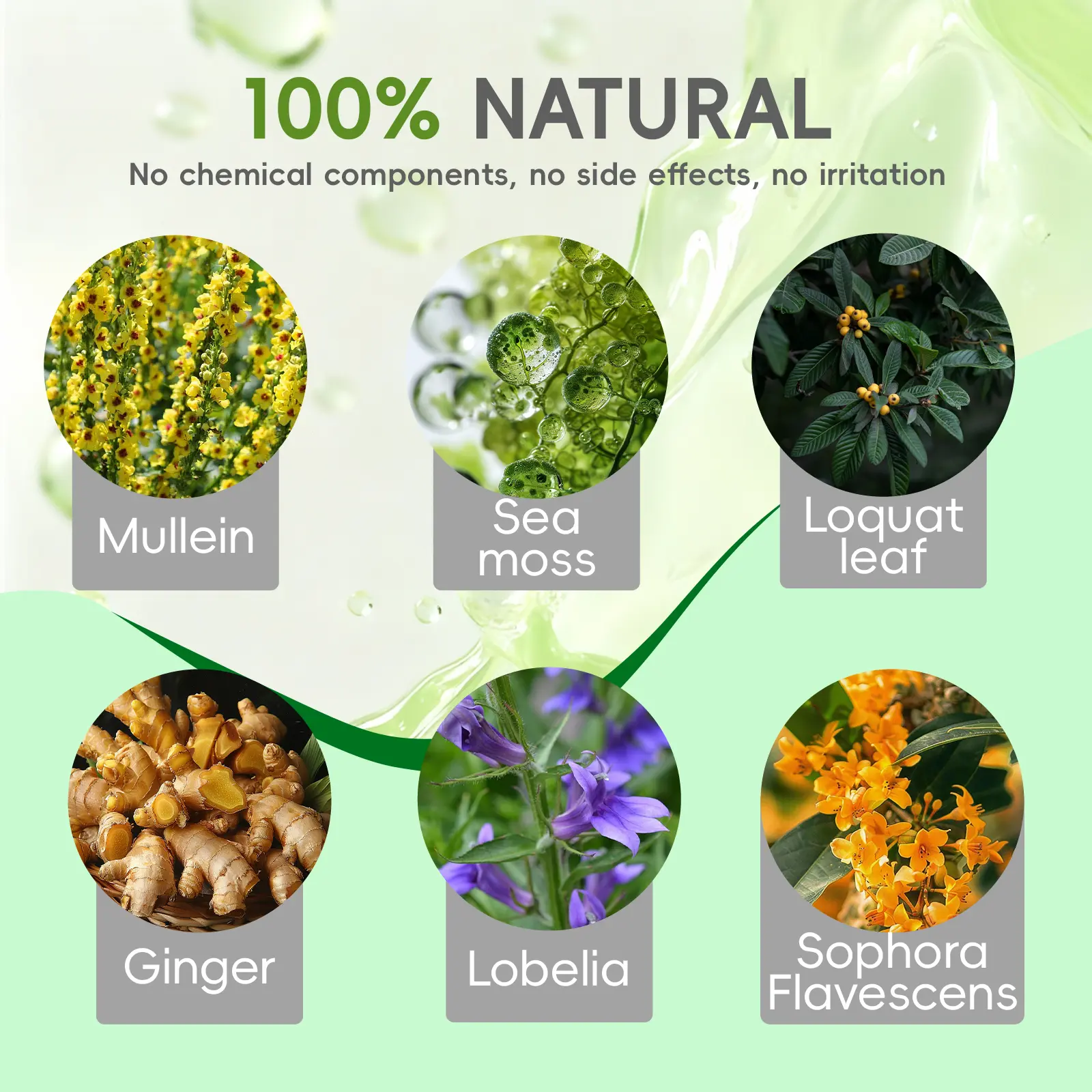 Lotmay® Pure Breathe Mullein Drops