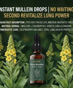 Lotmay® Pure Breathe Mullein Drops
